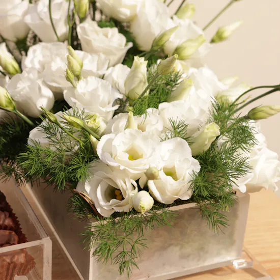 Abucci Chocolate Box | Pure Eustoma Flowers