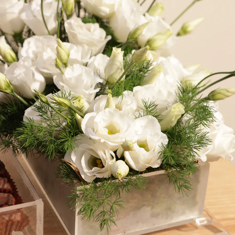 Abucci Chocolate Box | Pure Eustoma Flowers  5