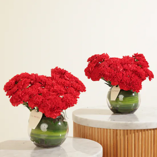 Velvet Promise Duo Carnation Vase