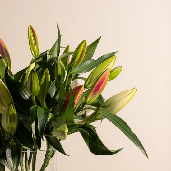 Marvelous Lilies | Glass Vase