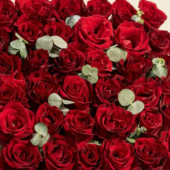 Red Romance Harmony Box