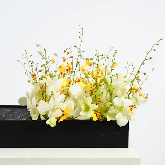 Qura'an Black Box | White Orchids