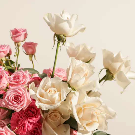 Blush Harmony Flowers Box