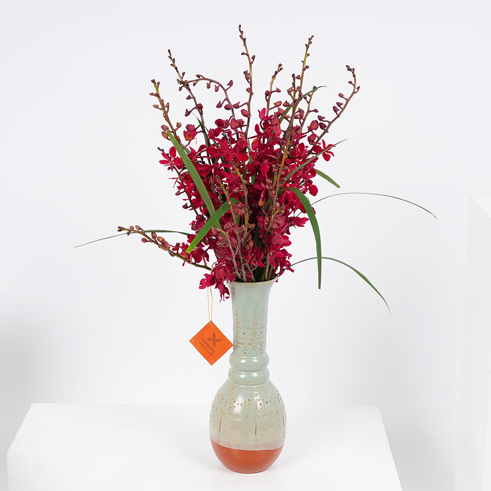 مزهريه أستديو كيراموس | زهور الفرحه 