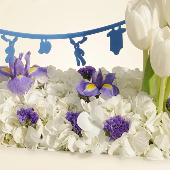 Floward New Baby Boy Flowers Tray