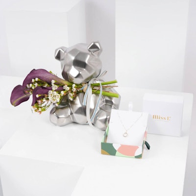 Miss L Small Double Circle Necklace | Silver Teddy