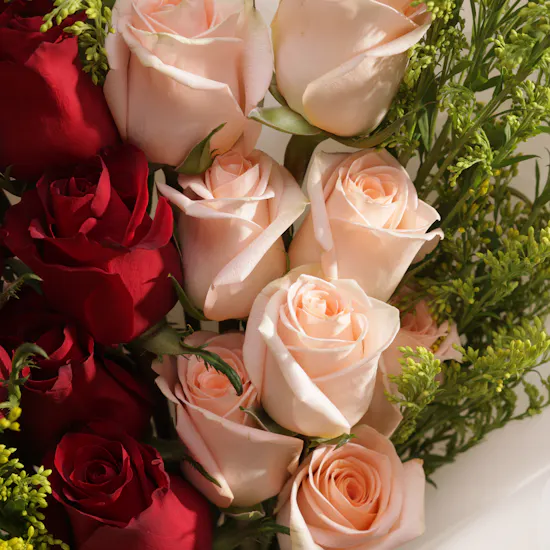 Red and Blush Pink Rose Bouquet