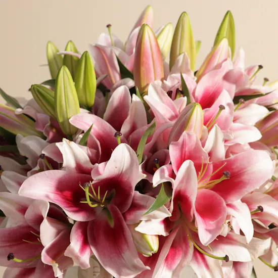 Amazing Pink Lily Vase | 20 Flowers