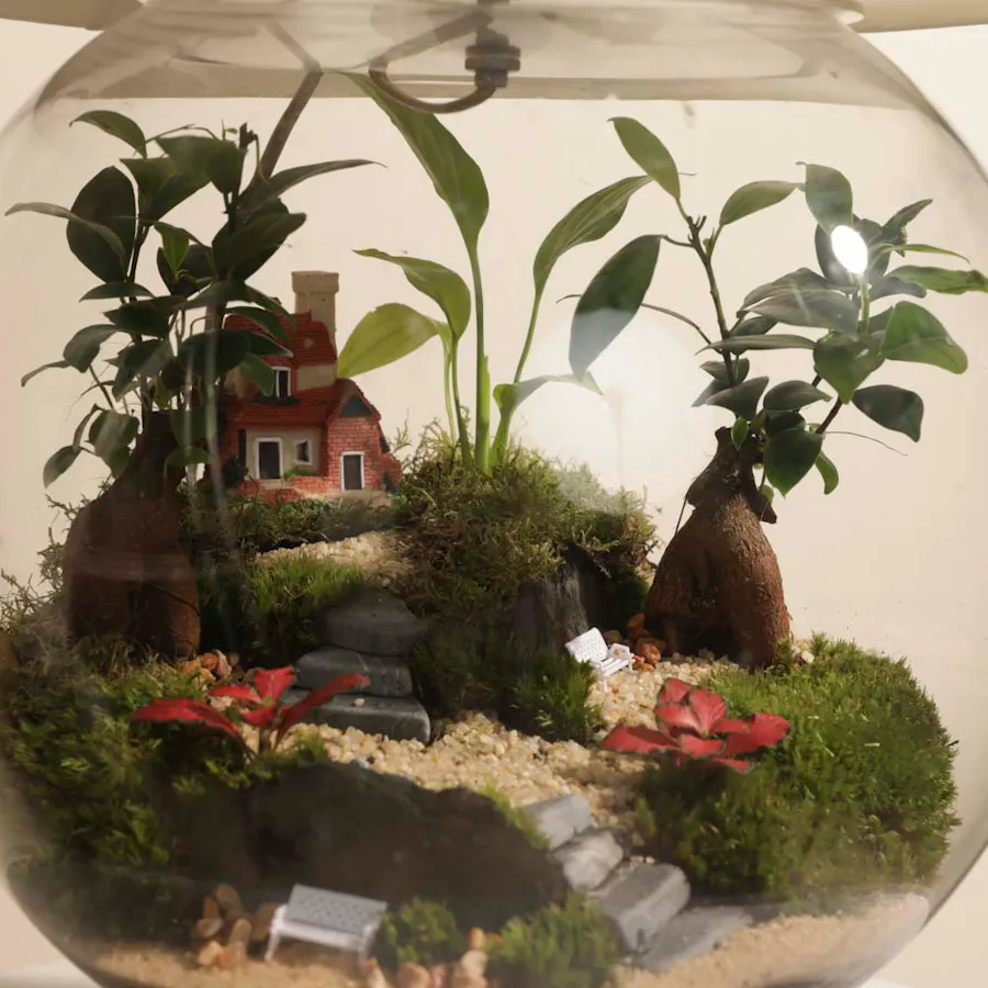 Enchanting Garden Lamp | Closed Terrarium 4