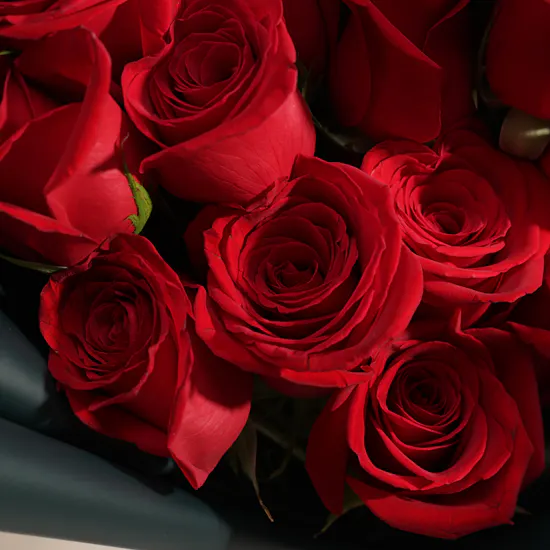 Imperial Love Red Roses Bouquet | 15 Flowers