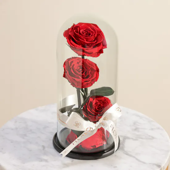 Preserved Red Roses Dome