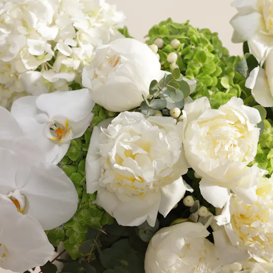 Peony Grace Harmony Vase