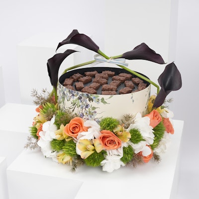 Hanoverian Chocolate with Colorful Blooms 
