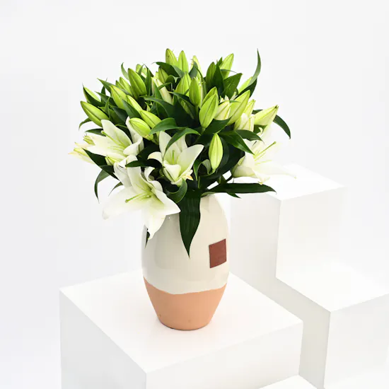 Lilies in Ceramic Vase