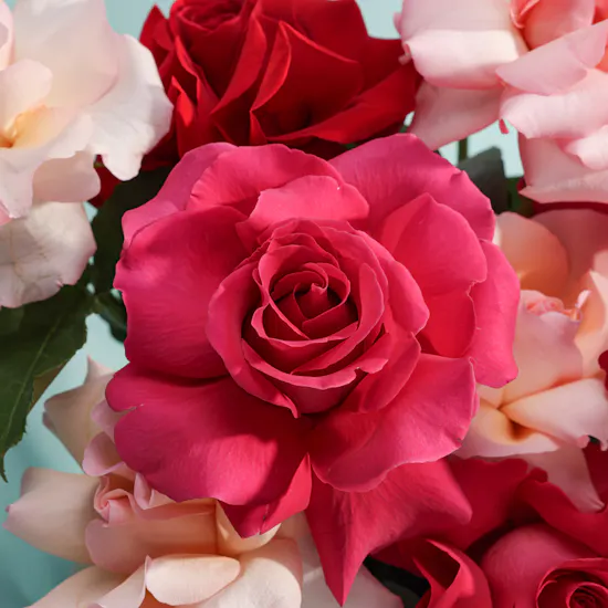 Dream Garden Roses Bouquet