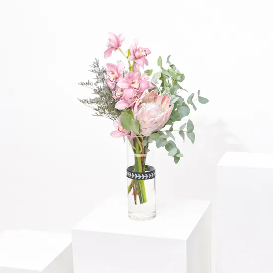 Peace Cymbedium | Glass Vase