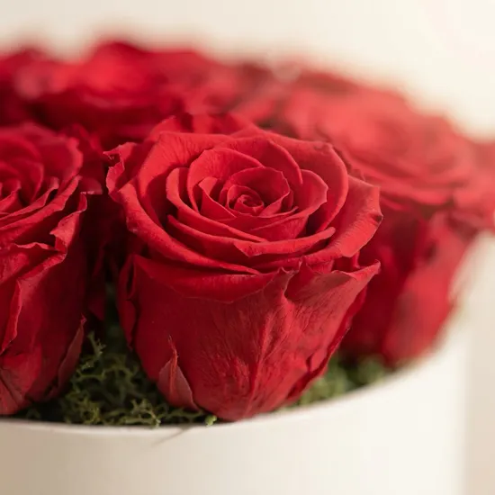 Romantic Preserved Red Rose Box