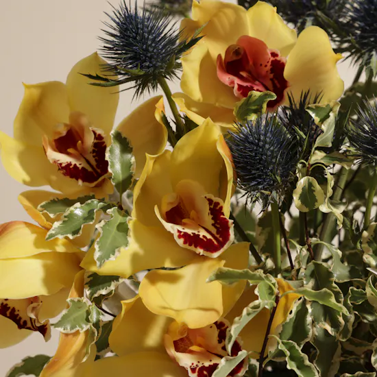 Beauty Vase