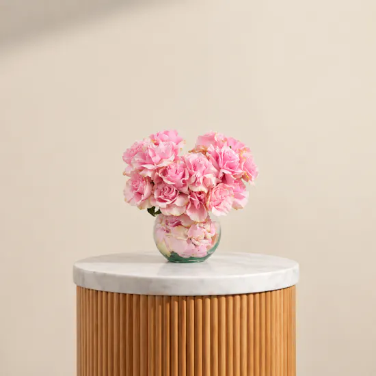 Pink Serenade