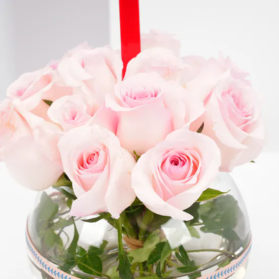 15 Light Pink Roses Vase