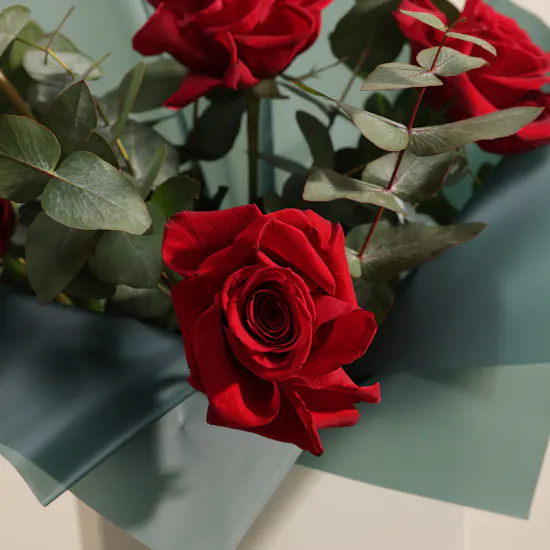 Gentle Embrace Roses Bouquet