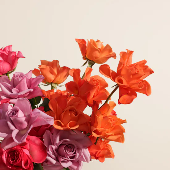 Vibrant Elegance Roses Box
