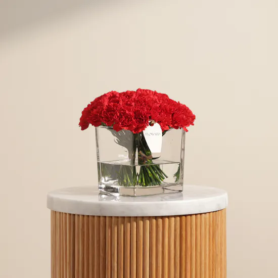 Romantic Red Carnations Vase