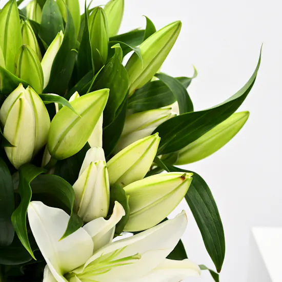 Lilies in Ceramic Vase
