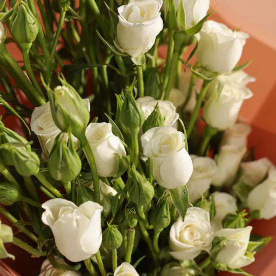 Floward Resin Mabkhar | Gentle Moments Flowers