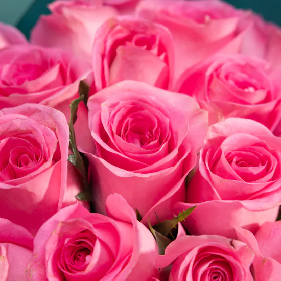 Pink Promise Roses Bouquet