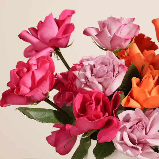Soy Happy Birthday Very Very Vanilla Candle | Amazing Flowers