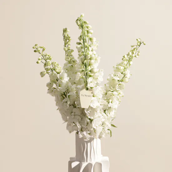 Skyward White Flower Vase