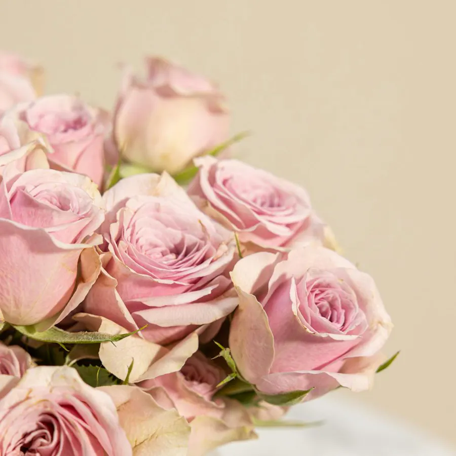 Purple Aura Roses Vase 5