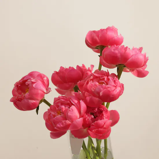 Magical Peony Coral Charm Vase