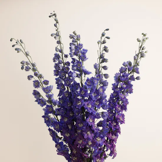 Dad's Bliss Delphinium Vase