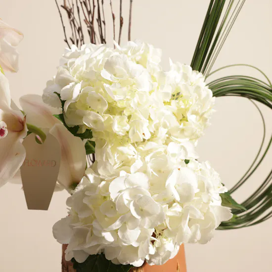 White Whisper Keramos Vase