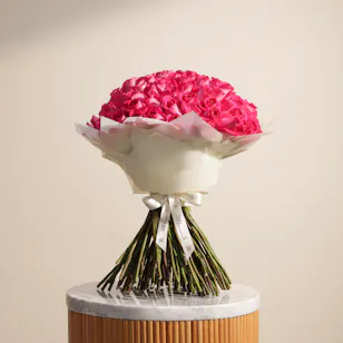Magnificent Fuchsia | 100 Rose Bouquet