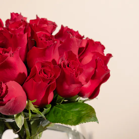 123456 Red Roses | Glass Bowl