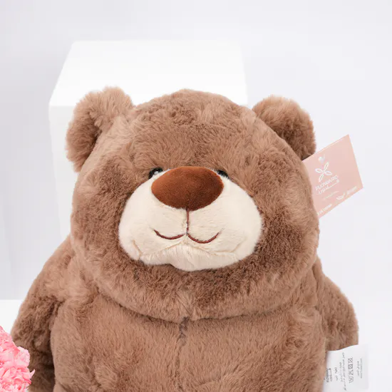 Plush Bear | Carnations Vase