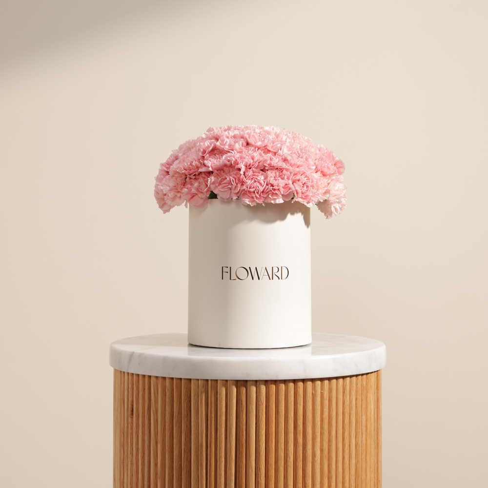 Lush Pink Carnation Box | 35 Flowers
