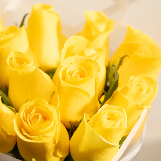 Sunshine Yellow Roses