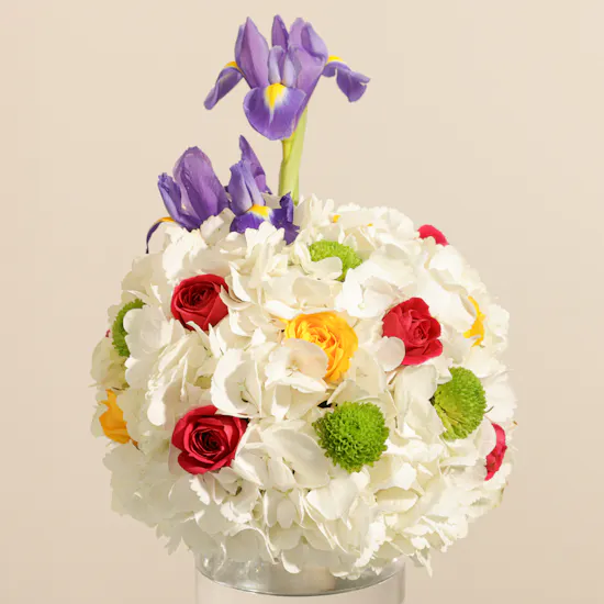 Floward Mini Dino Birthday Vanilla Cake | Flowers Vase and Happy Birthday Balloons