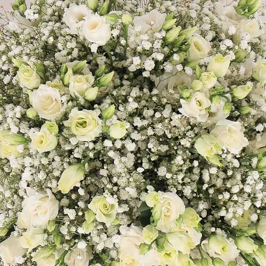 Eustoma Snows | Glass Vase