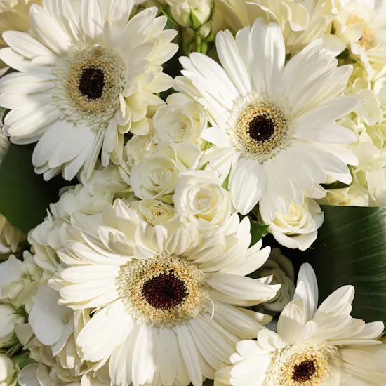 White Serenity Vase