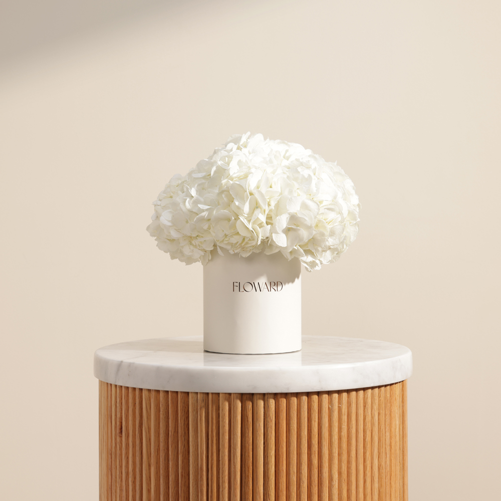 Dreamy White Hydrangea Box | 6 Flowers 