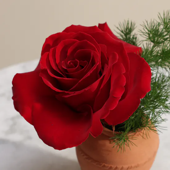 Red Rose Traditional Vase