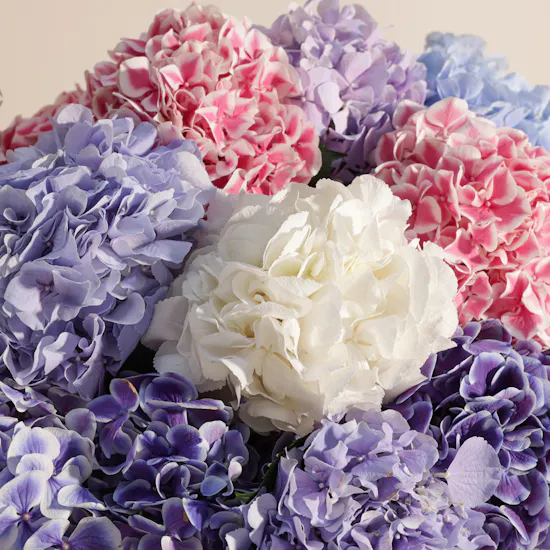 Elegant Hydrangea Vase