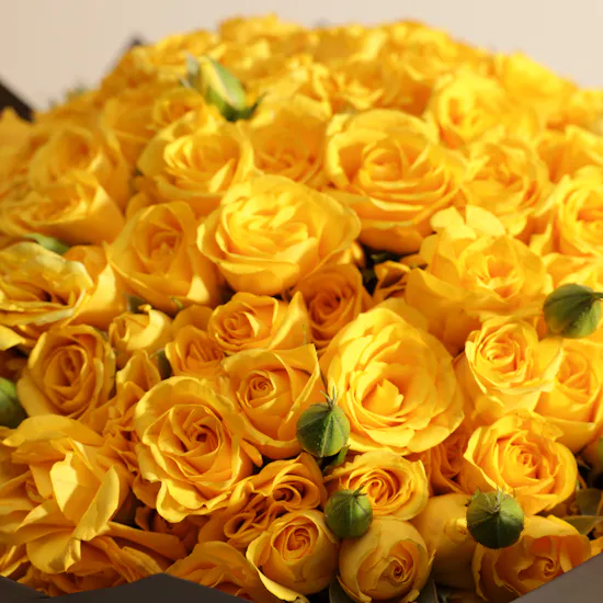 Yellow Glow Bouquet | 50 Baby Roses