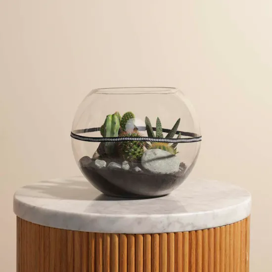 Desert Stones | Open Terrarium