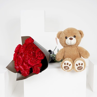 25 Red Carnations Hand Bouquet with a Small Teddy Bear